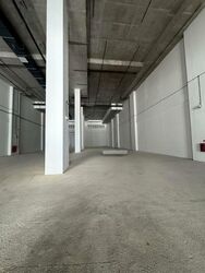 FOOD ASCENT (D22), Factory #633681451